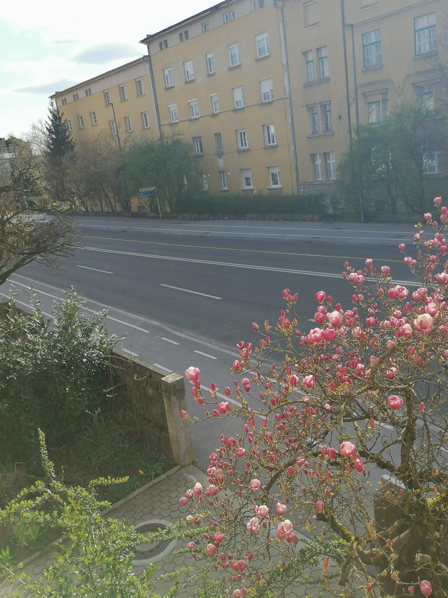 Pirc Apartment On Dunajska Street Lublana Zewnętrze zdjęcie